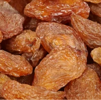 Munakka